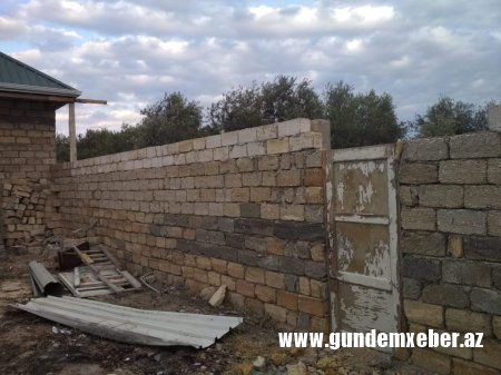 Adil Vəliyevin Kürdəxanıda zeytun əməliyyatı (FOTO FAKT)