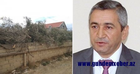 Adil Vəliyevin Kürdəxanıda zeytun əməliyyatı (FOTO FAKT)