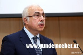 İqtisadiyyat nazirinin müavini: "Azərbaycanda 154 alman şirkəti fəaliyyət göstərir"