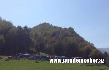 Şəmkir Regional Meşə Təsərrüfatı Mərkəzi üzərinə düşən öhdəlikləri pozaraq rayonların meşələrinin dağıdılmasına, meşə zolağına mal-qaranın, hətta donuzların lövbər salmasına şərait yaradıb