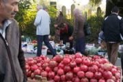 Qida Təhlükəsizliyi Agentliyi də, İsmayıllı şəhər bazarındakı acınacaqlı durumla maraqlanmaq istəmir -- İTTİHAM  
