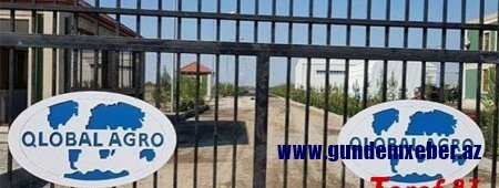 “Kölgə iqtisadiyyatı”nın “bani”ləri aqrar sektorda - İLGİNC FAKTLAR