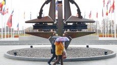 Türkiyə NATO çəkişməsindən Rusiya qalib çıxacaq