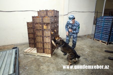 Rekord həddə - 933 kiloqramdan artıq heroin aşkar edilib
