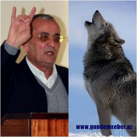 İsgəndər Bozqurd öldü, deməyin, çünki vuruşub ŞƏHİD OLDU!