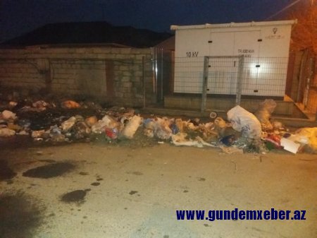 Biləsuvarı zibilliyə çevirən icra başçısı- FOTOFAKT