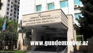 "Dəfələrlə Sosial Müdafiə Fonduna müraciət etmişik..." - GİLEY