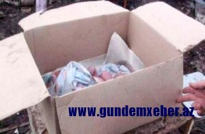 Bakıda dəhşət: Küçədən iki günlük körpə tapıldı