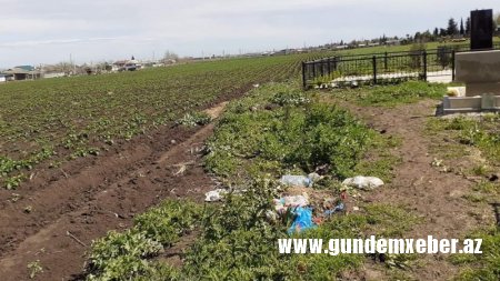 Cəlilabadlı məmurun heyrətamiz fərasəti... - İDDİA