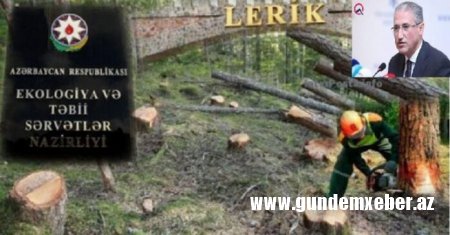 Lerikdə yaşıllığın məhv edilməsini əks etdirən VİDEO