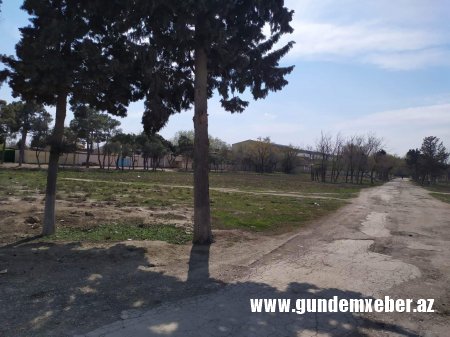 Ələt qəsəbəsində yerləşən park baxımsızlıqdan xarabalığa çevrilib -FOTO