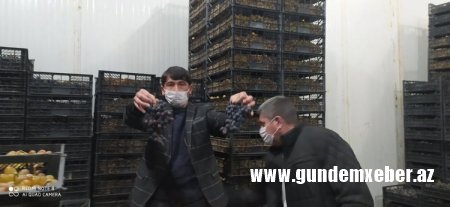 Tovuzda sahibkarlar “qan ağlayır”, iki nazirlik susur
