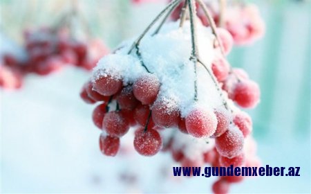 Hava yenə soyuyur: qar yağacaq - Xəbərdarlıq
