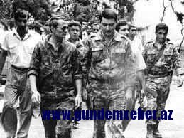 Azerbaycan Halk Harekatı, Karabağ Savaşı Gazileri ve Bozkurdların Beyanatı