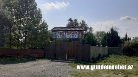 Əxlaqsızlıq yuvası kimi fəaliyyət göstərən kafe aşkarlandı