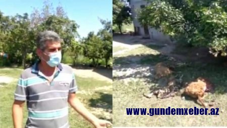 Vətəndaş məmur məsuliyyətsizliyindən narazılıq edir - VİDEO
