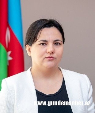 Ramiz Mehdiyevin himayə etdiyi nazir müavini - Hansı yolla təyinat alıb?..