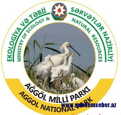 Ağgöl Milli Parkında yanğın müəmması-ETSN-nə yalan məlumat verilir?-NONSES