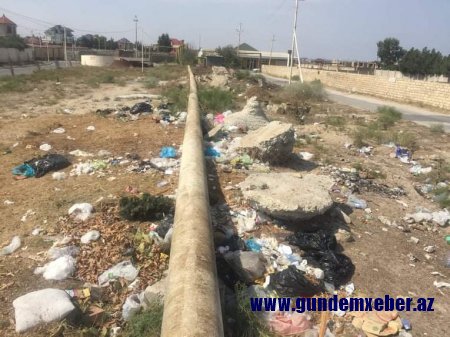 Sanitariya-gigiyena qaydalarını pozan şəxs cərimələnib - FOTO/FAKT