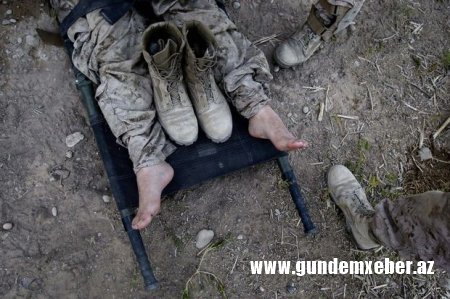 Ermənistan ordusunun daha bir zabiti məhv edildi - RƏSMİ