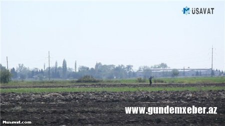 Suqovuşanın suyuna qovuşmuş torpağın bərəkəti və insanların fərəhi - FOTO