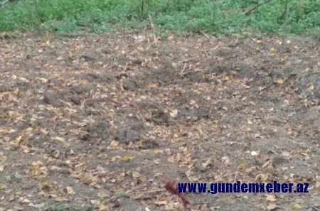 Əgər sakinlər qorxmursa Məhərrəm Quliyev nədən ehtiyat edir? -FOTO/VIDEO