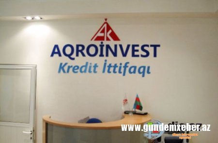 “Aqroinvest Kredit İttifaqı” İTTİHAM OLUNUR... - İmişlidə kredit fırıldaqçılığı…