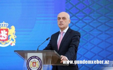 David Zalkaliani XİN başçılarının təxirə salınan Bakı görüşündən danışıb