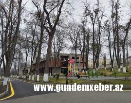 Ziyəddin Əliyevin ailə biznesi - FOTO  
