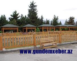 Ziyəddin Əliyevin ailə biznesi - FOTO  
