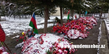 Qaxda 7 şəhidin başdaşı qoyilmayıb, başçının canı çıxır?-VİDEO