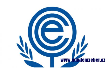 Bu gün İqtisadi Əməkdaşlıq Təşkilatının Zirvə toplantısı keçiriləcək