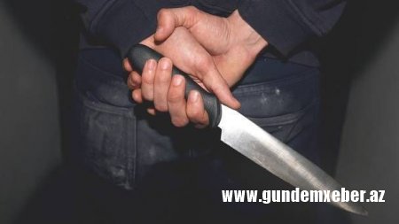 Bakıda amansızlıqla qətlə yetirdiyi qadını həyətində basdıran şəxs həbs edildi