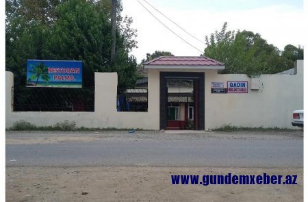 Restoranda qadın məsləhətxanası fəaliyyət göstərir - Cəlilabadda biabırçılıq