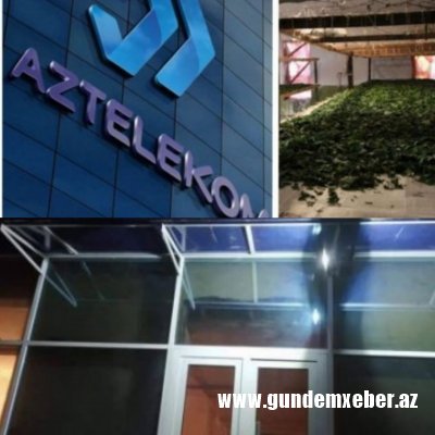 "Aztelekom" Göyçay TKQ-nın zirzəmisində barama yetişdirməyə davam edir - İLGİNC FAKT