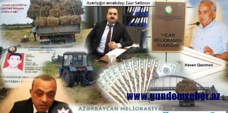 Ucar rayon Meliorasiya İdarəsinin müdiri Həsən Qasımovun korrupsiya əməlləri...- Müdirin yonca sahələri, fermaları...
