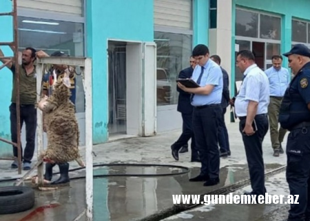AQTA 15 qanunsuz heyvan kəsimi məntəqəsi aşkarladı - SİYAHI