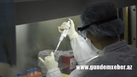 "Qara göbələk" sürətlə yayılır: Bu ölkədə də aşkarlandı