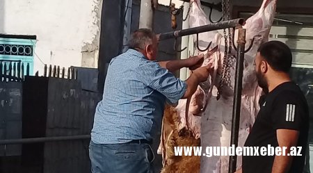 Bakıda qanunsuz heyvan kəsimi məntəqəsi fəaliyyət göstərir – AQTA buna niyə göz yumur? (VİDEO)