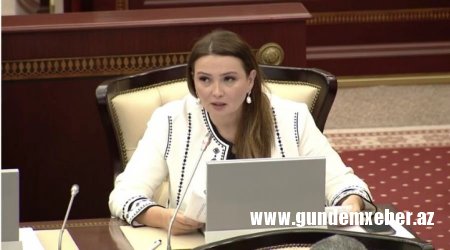 Qənirə Paşayeva "AZAL"ı topa tutdu