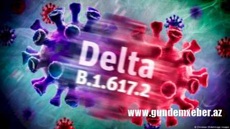 “Delta ştammı daha çox arıq və az çəkili adamları tutur“ - Rusiyalı həkim