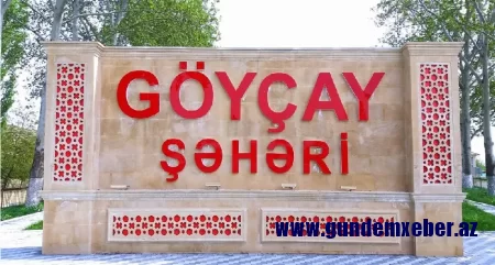 Göyçay sakini İcbari Tibbi Siğortanın əməkdaşından Prezidentə şikayət etdi
