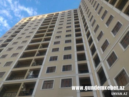 Özgə malını qazi və şəhid ailələrinə qurban edən dil pəhləvanları