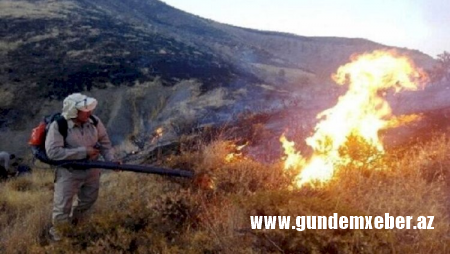 Meşə yanğınları İrana keçdi