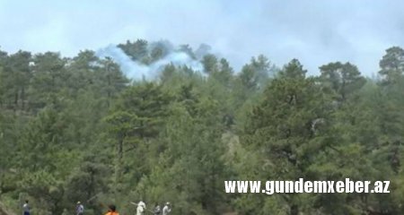 Türkiyədə yaşayış məntəqələri üçün təhlükəli yanğınların hamısı söndürülüb