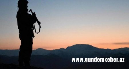 Türkiyə vətəndaşlarını qətlə yetirən terrorçu və daha 5 silahlı Suriyada məhv edilib