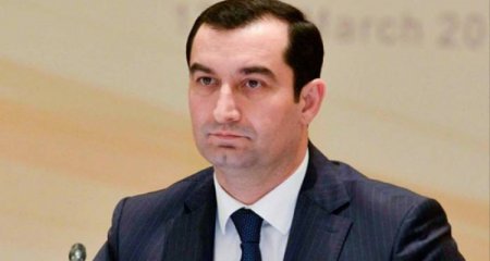 Gənc icra başçısının dəbdəbəli villası – Foto