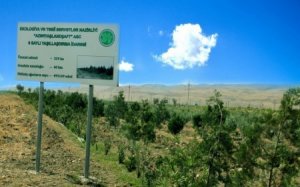 Ekologiya və Təbii Sərvətlər Nazirliyinin şirkətində qanun pozuntuları aşkar olunub