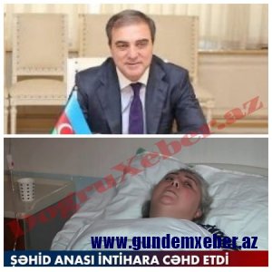 Şəhid anasının intihara cəhd etməsində səbəbkar icra başçısıdır? ...