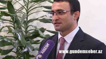 Fərid Mansurov prorektor təyin edildi